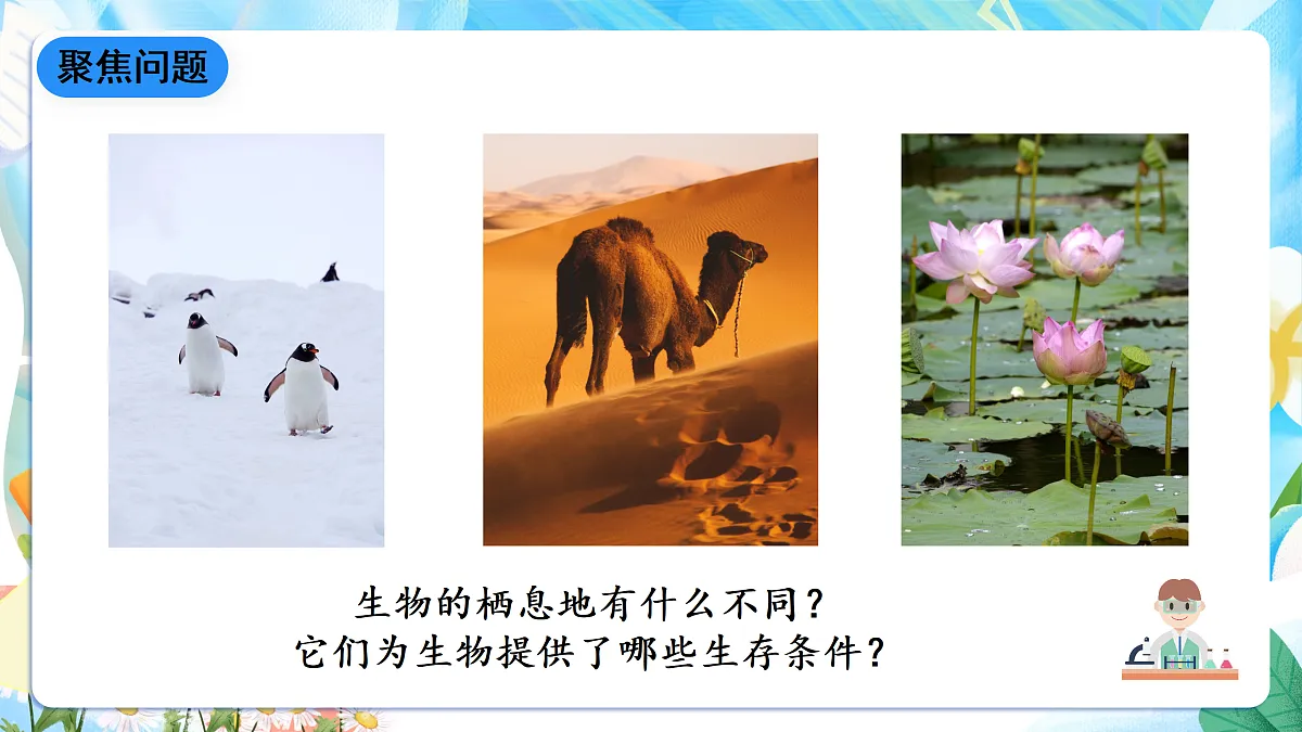 人教鄂教版科学六下1.1《生物的栖息地》课件第7页