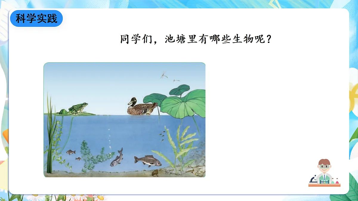 人教鄂教版科学六下1.1《生物的栖息地》课件第8页