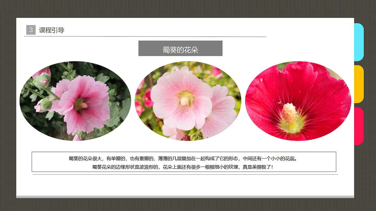 17483114第7页