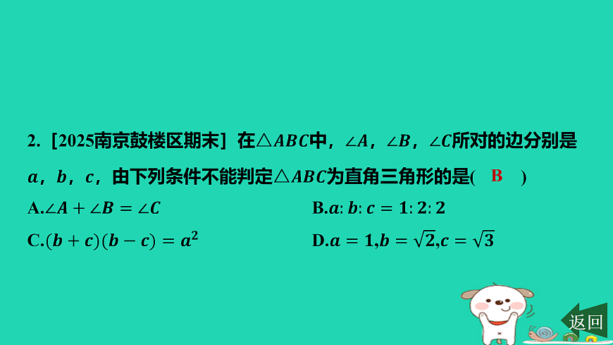 17484100第3页