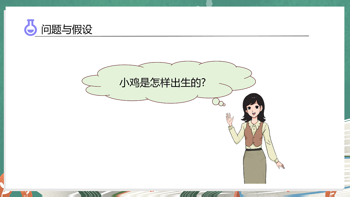 3.1 孵化小鸡(教学课件)科学大象版三年级上册(新教材)第6页
