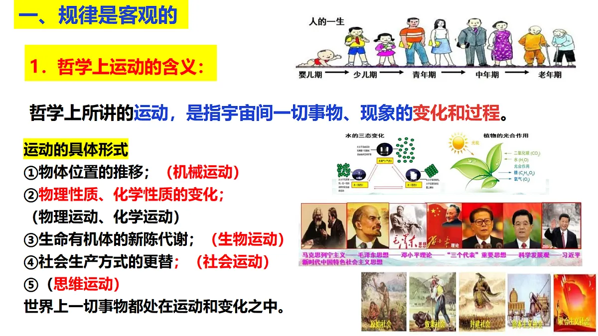 17484586第3页
