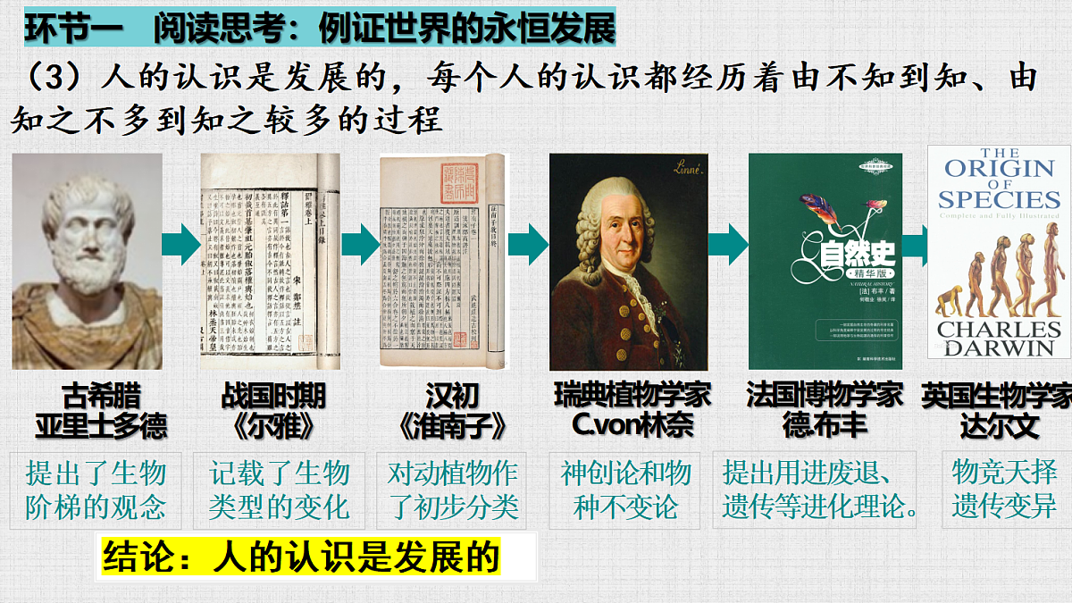 17484600第8页