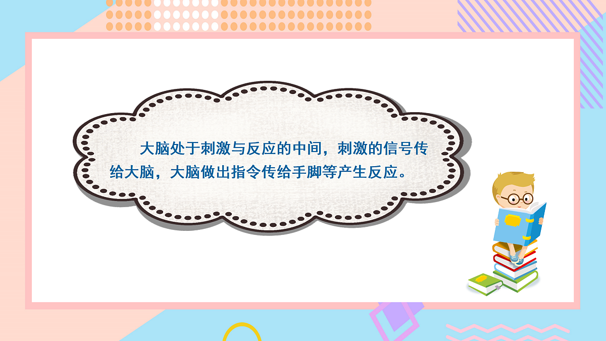17486672第3页