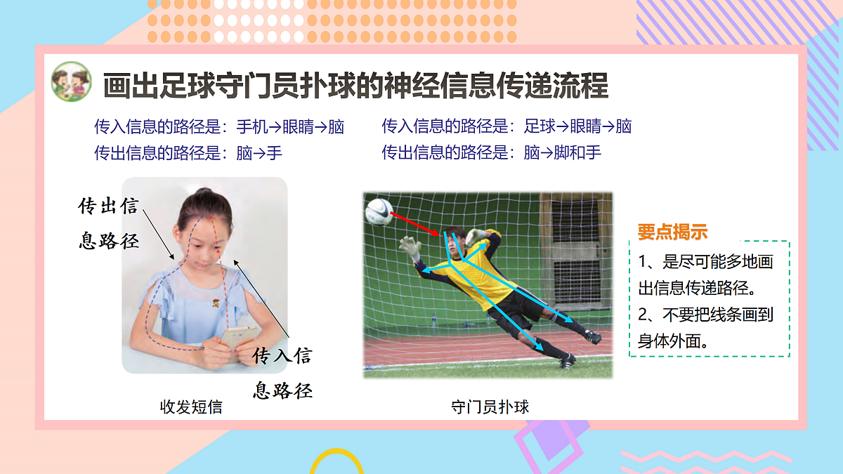 17486672第6页