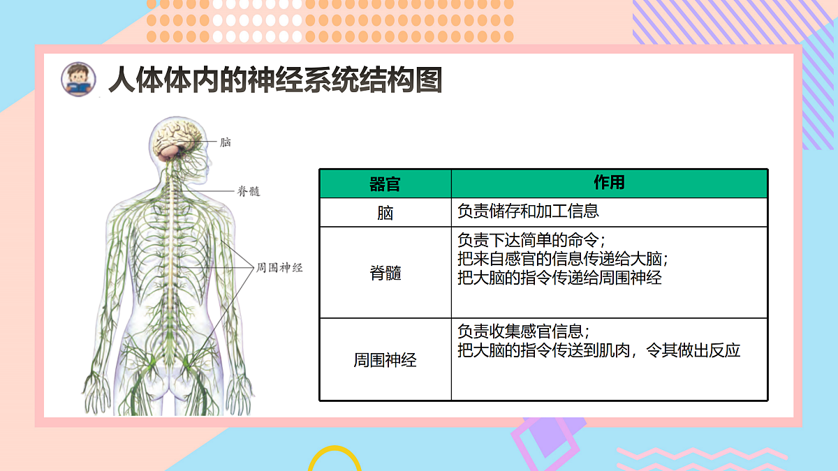 17486672第7页