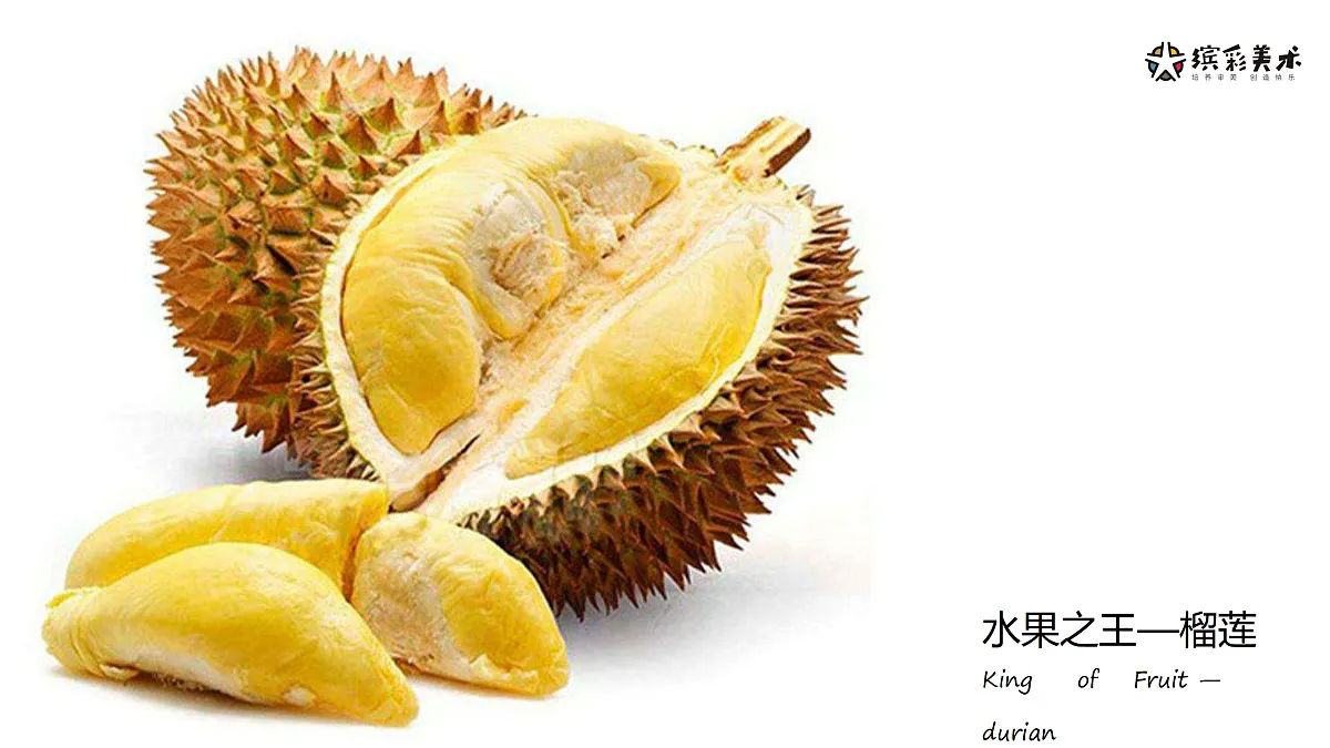 17486976第1页