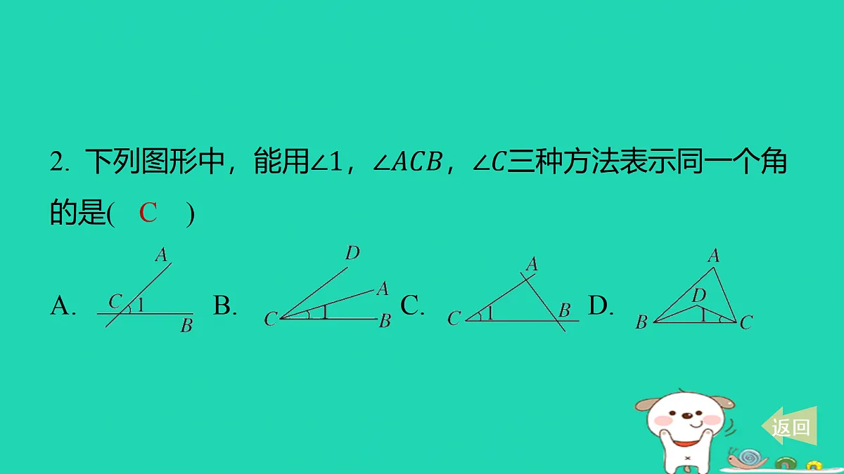 17487443第3页