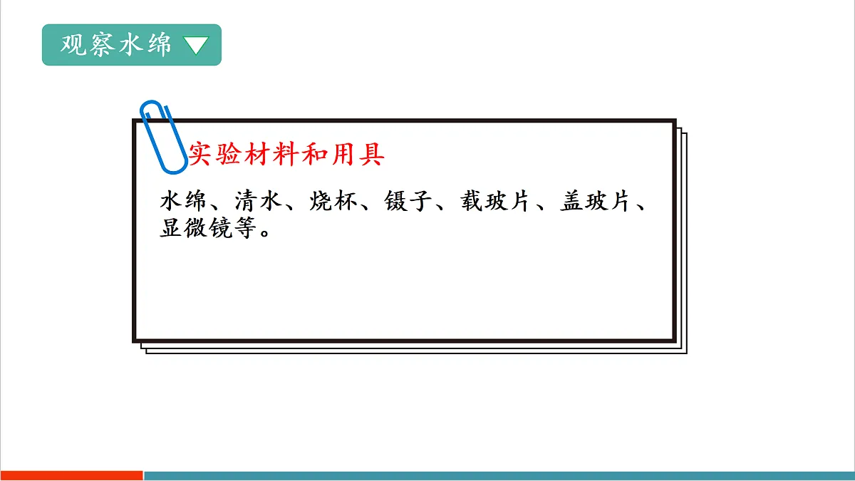 7.1 藻类(课件)第8页