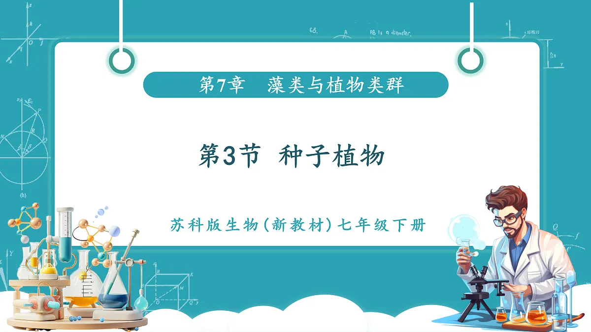 7.3 种子植物(课件)第1页