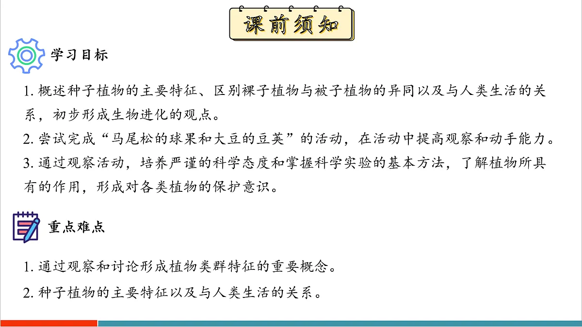 7.3 种子植物(课件)第3页
