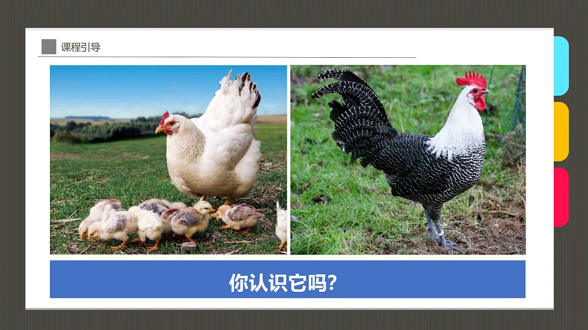 17487812第4页