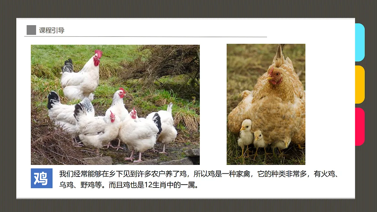 17487812第5页