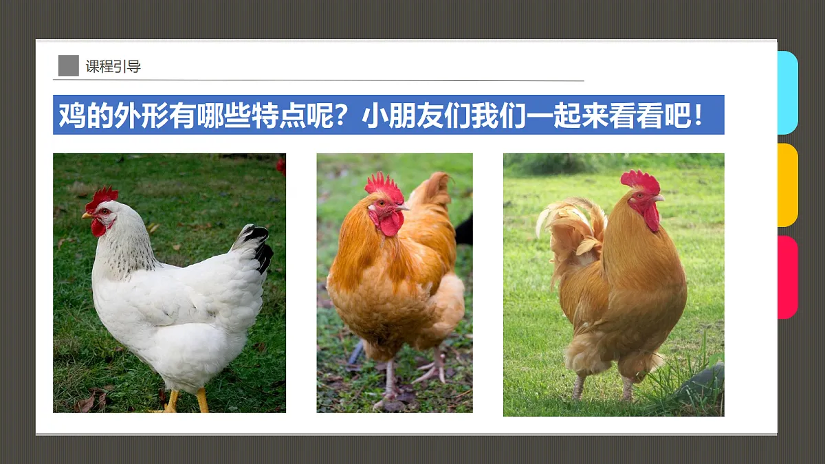 17487812第6页