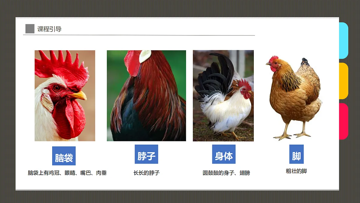 17487812第7页