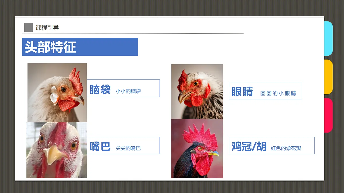 17487812第8页