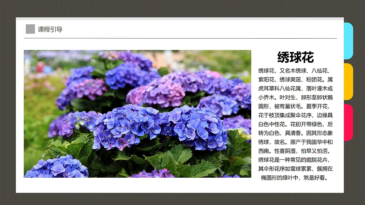 17487814第4页