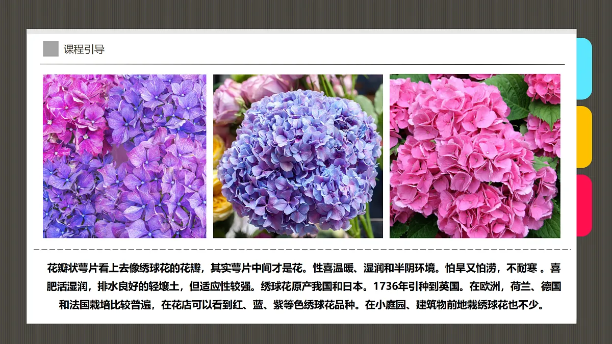 17487814第8页