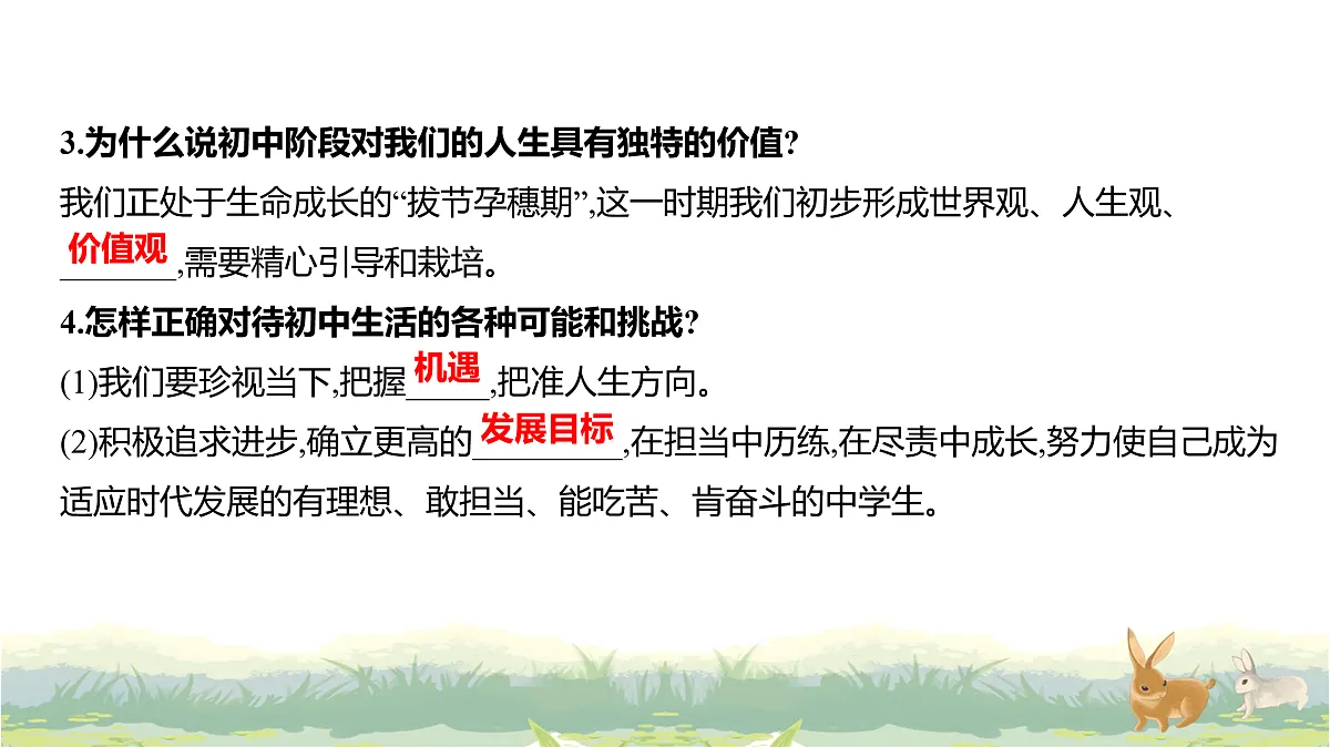 17488216第3页