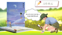 統(tǒng)編人教版小學(xué)三年級語文上冊第五單元《15.金色的草地》教學(xué)設(shè)計、課件、練習(xí)