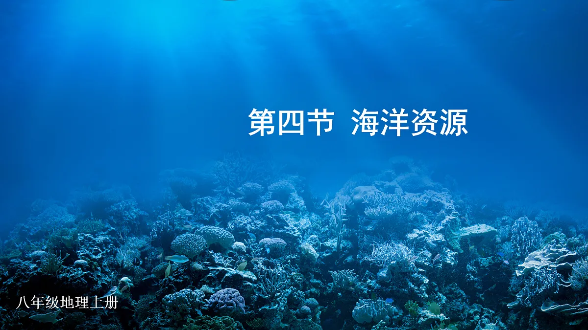 17492718第2页