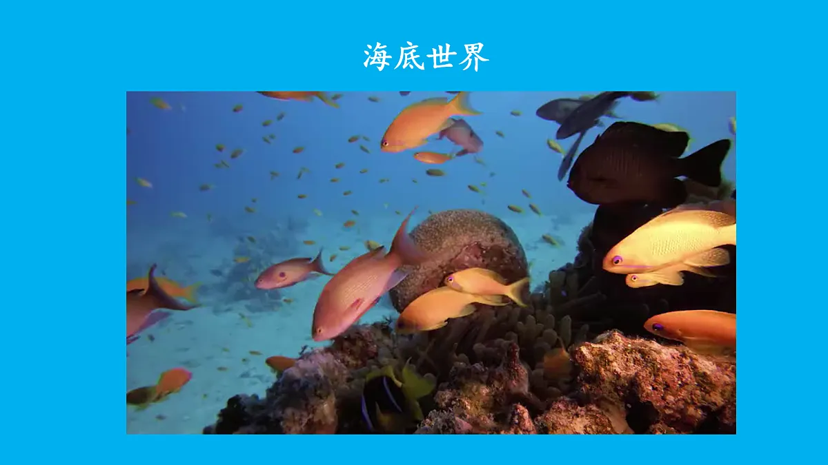 17492718第3页