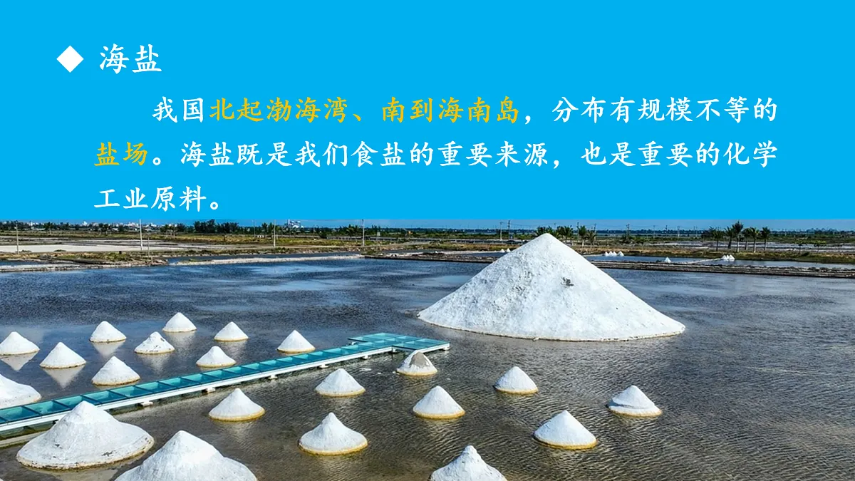 17492718第7页