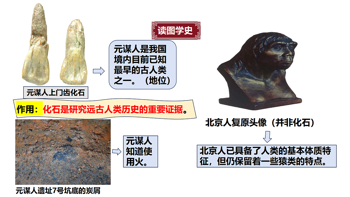 17492919第6页