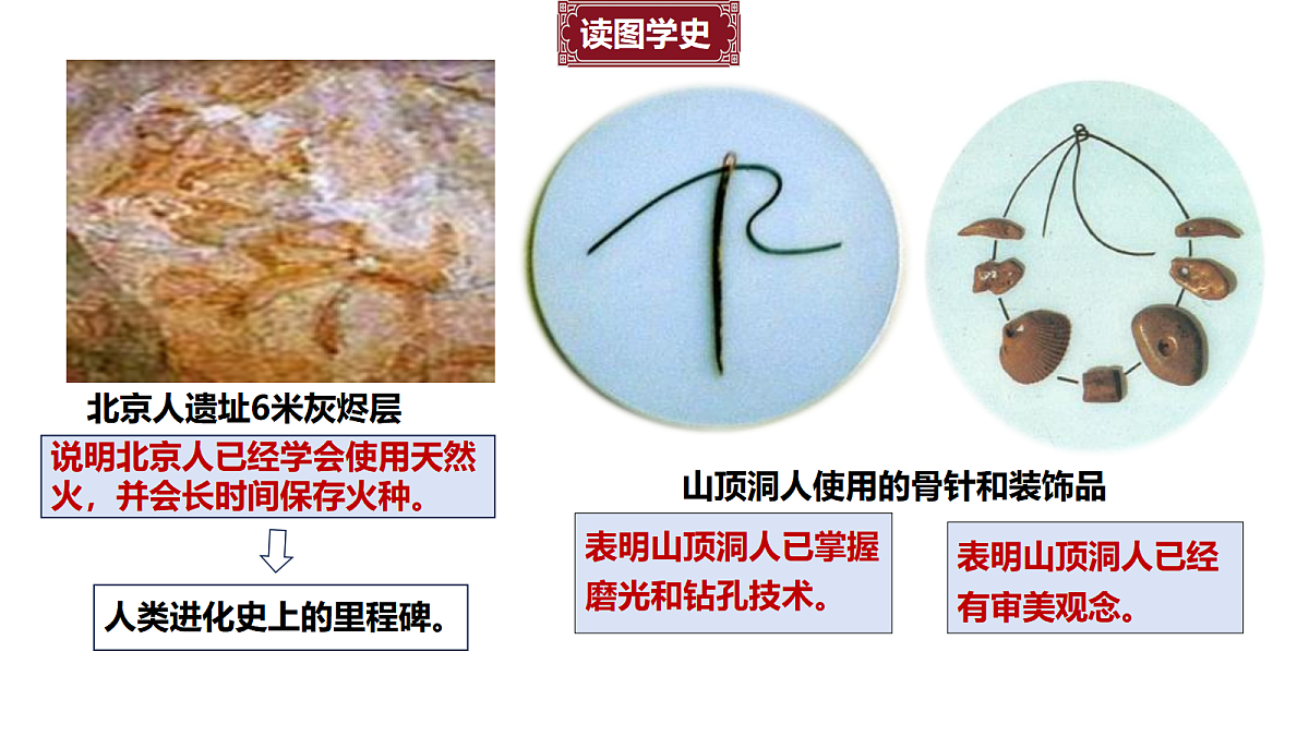 17492919第7页