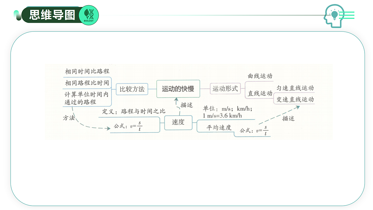 17493391第3页