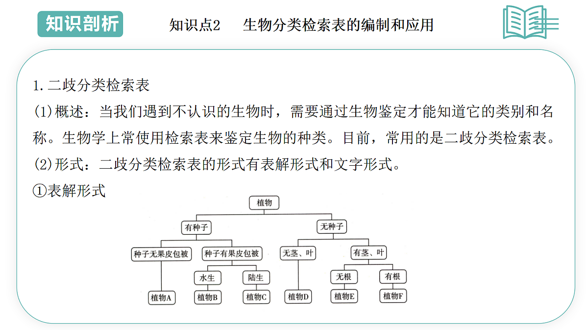 17493878第5页