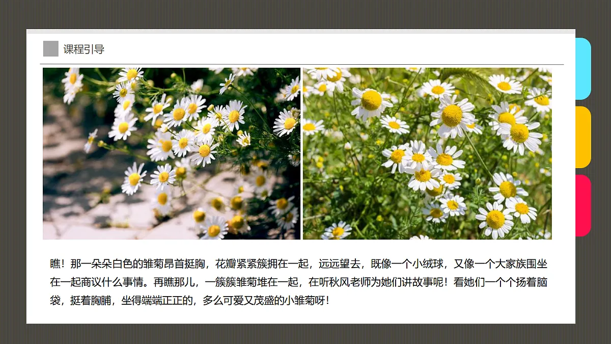 17494003第5页