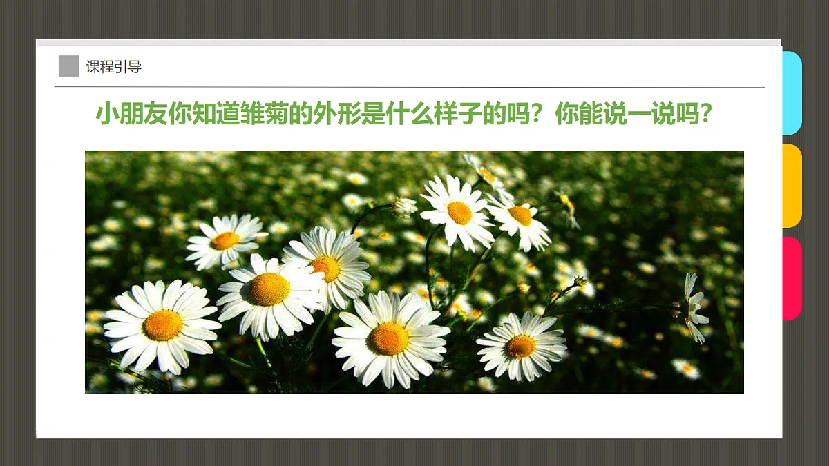 17494003第7页