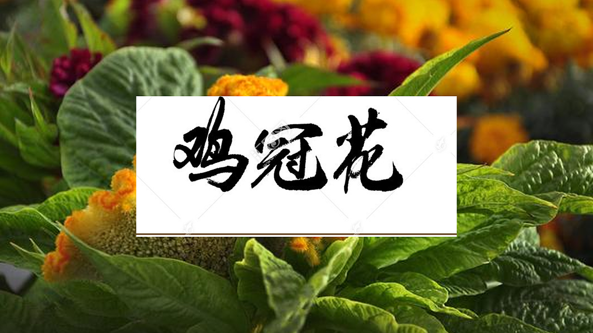 17494012第1页
