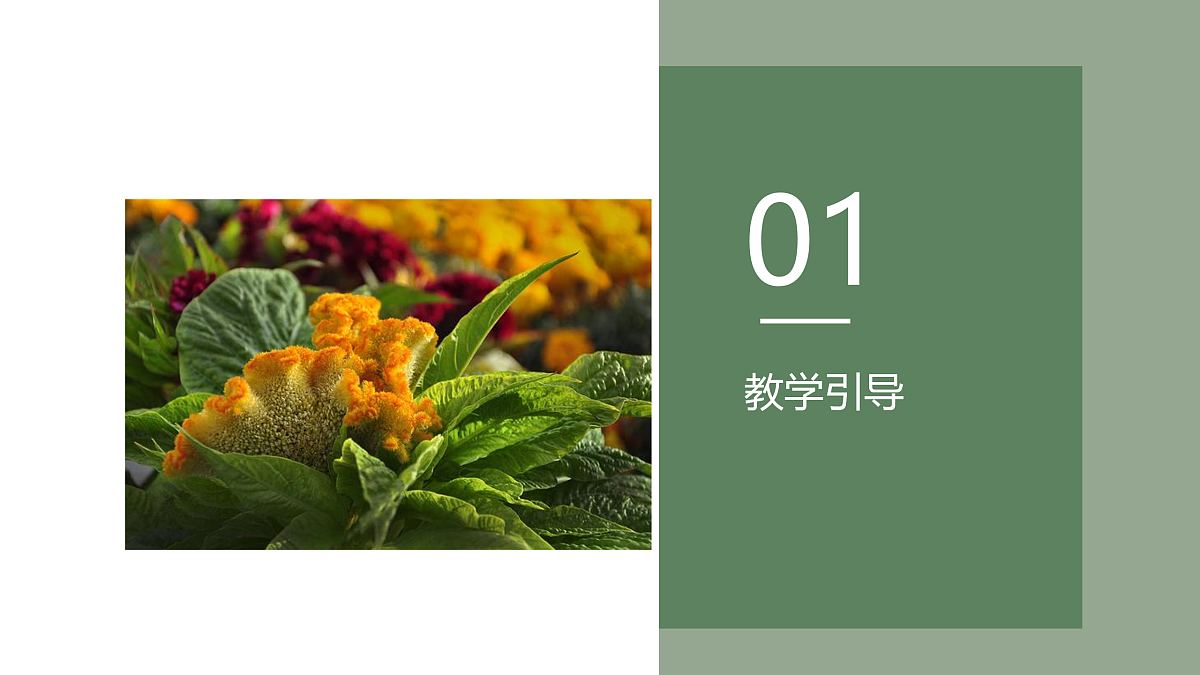 17494012第2页