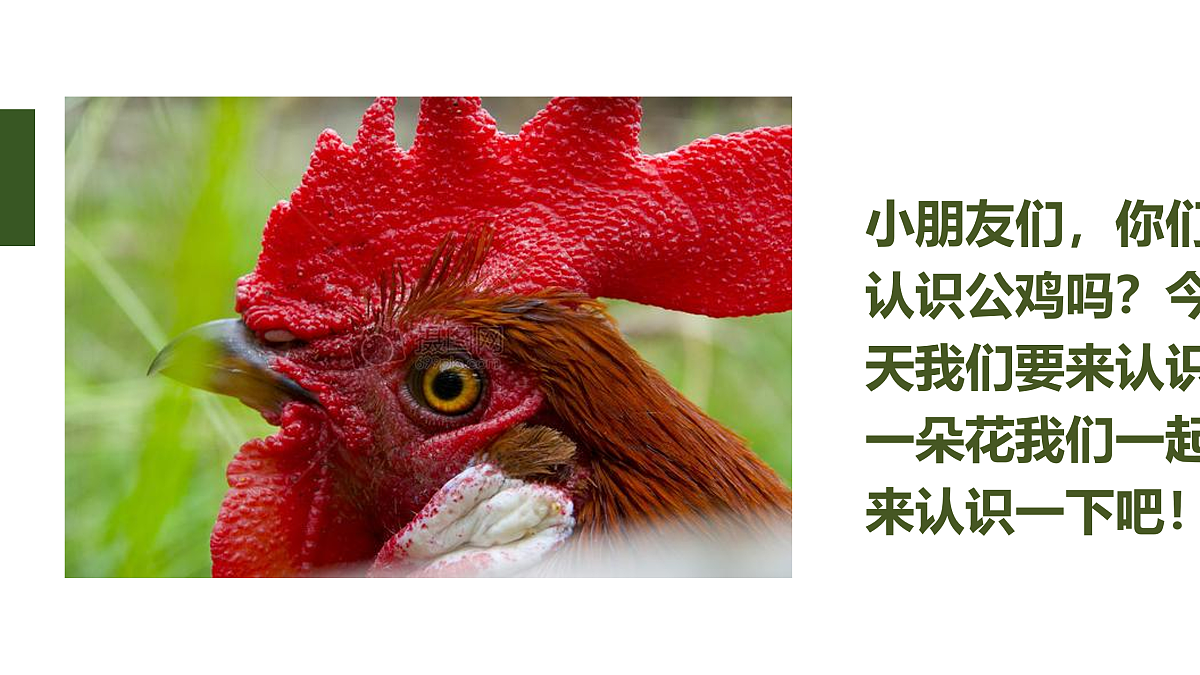 17494012第3页