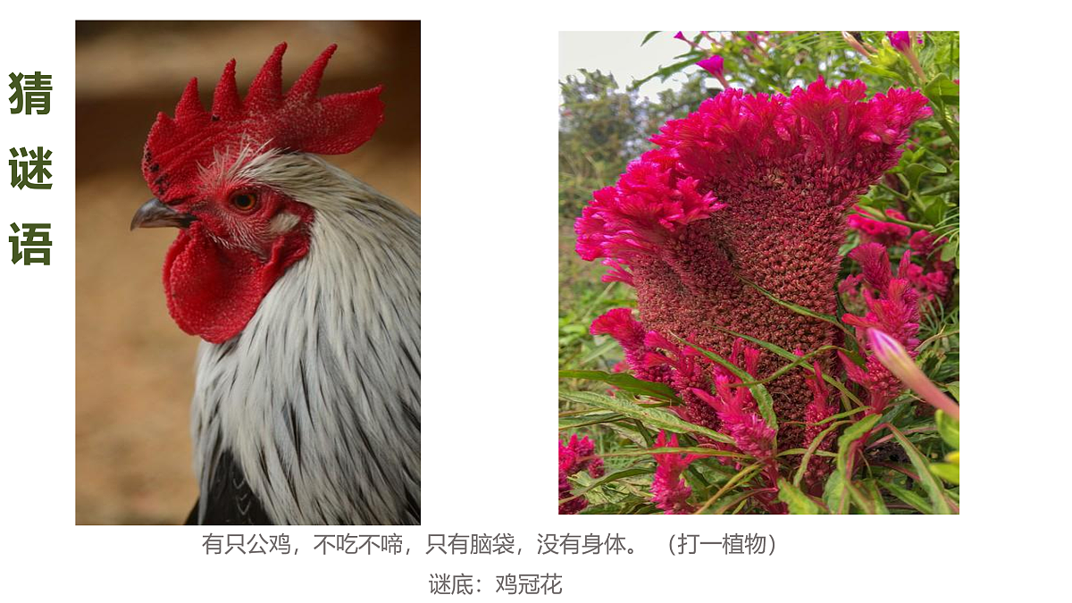 17494012第4页
