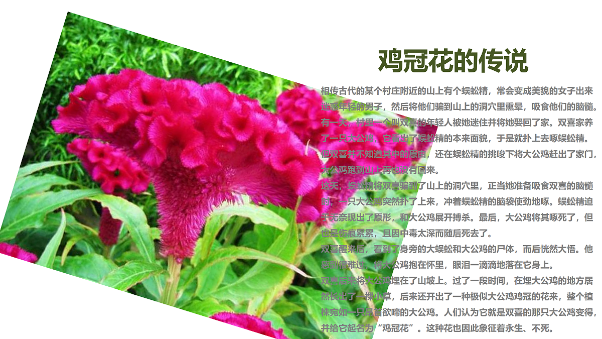 17494012第7页