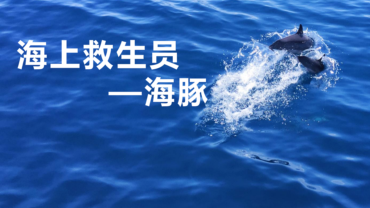 17494218第1页