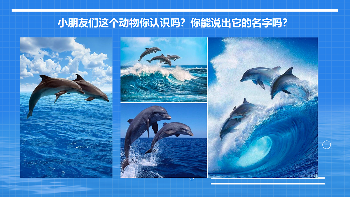 17494218第3页