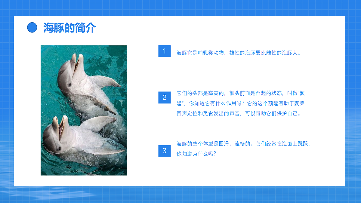 17494218第5页
