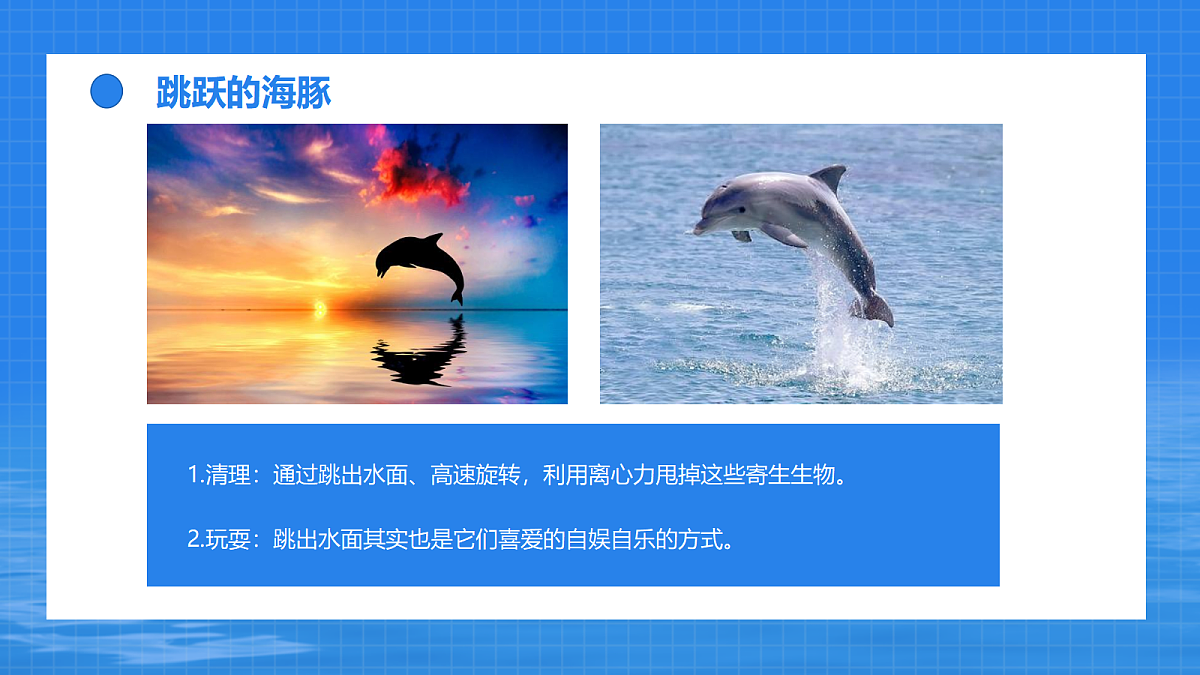 17494218第7页