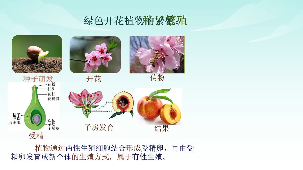 17494606第2页