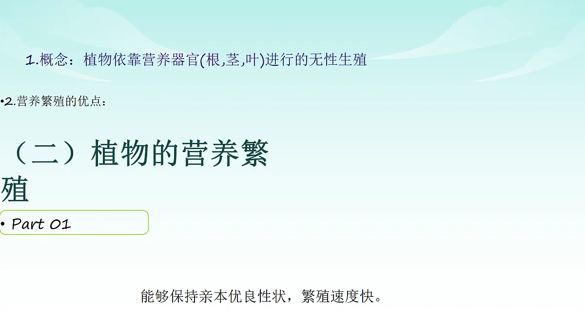17494606第5页