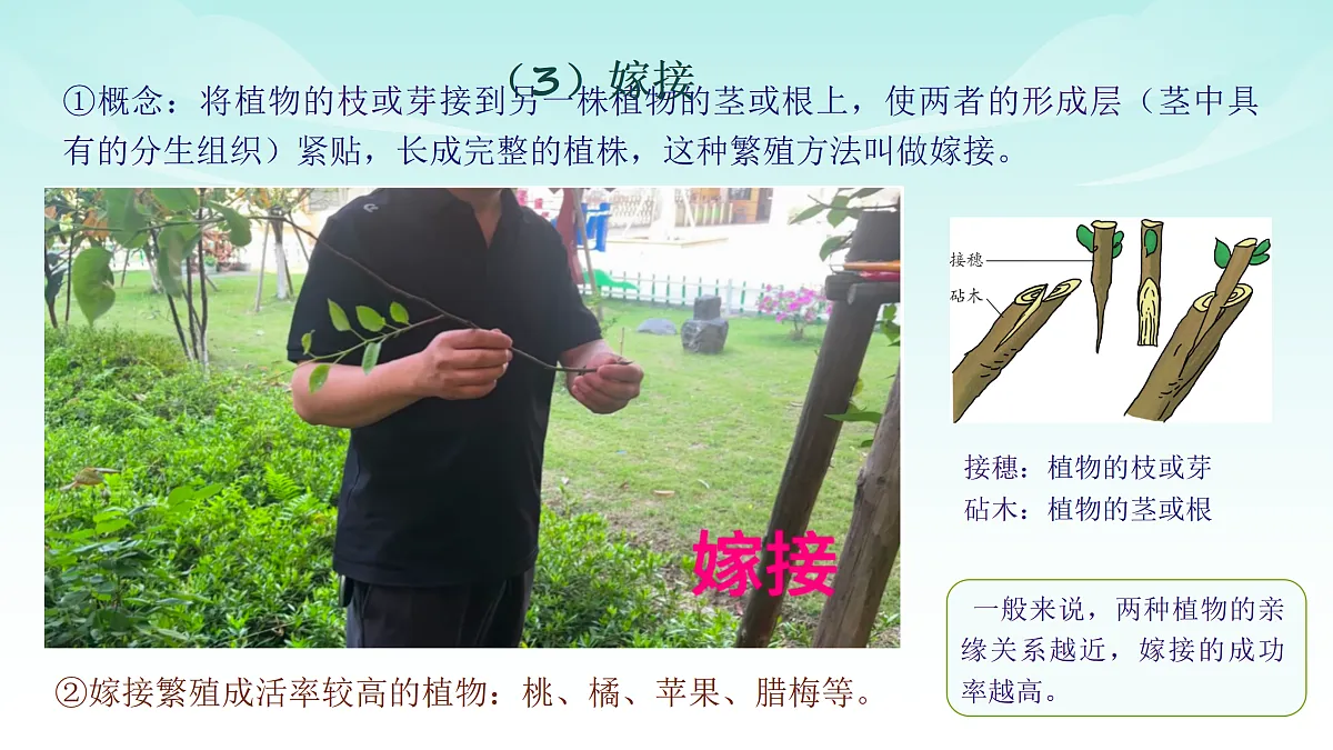 17494606第8页