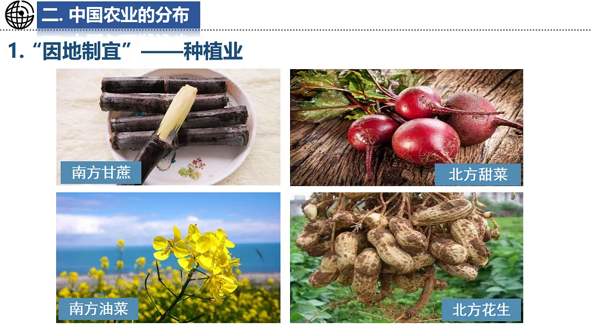 17495259第8页