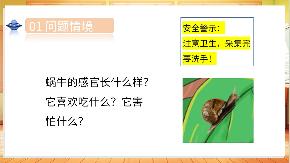 1.3 观察蜗牛的反应(教学课件)科学湘科版二年级上册(新教材)第5页