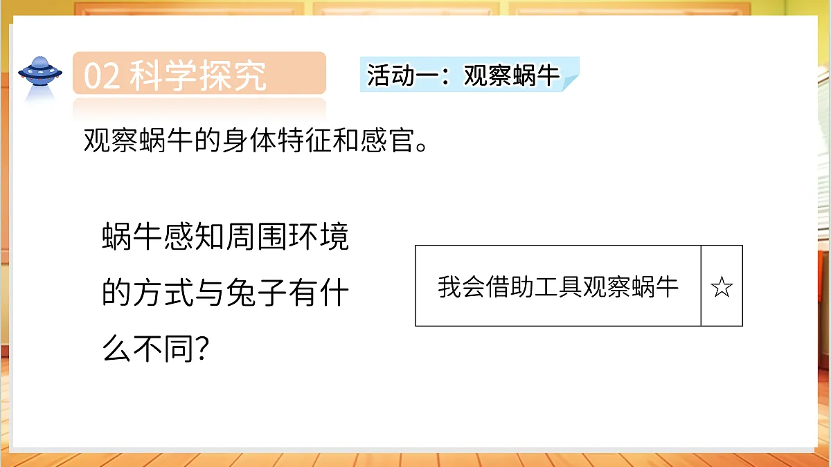 1.3 观察蜗牛的反应(教学课件)科学湘科版二年级上册(新教材)第7页