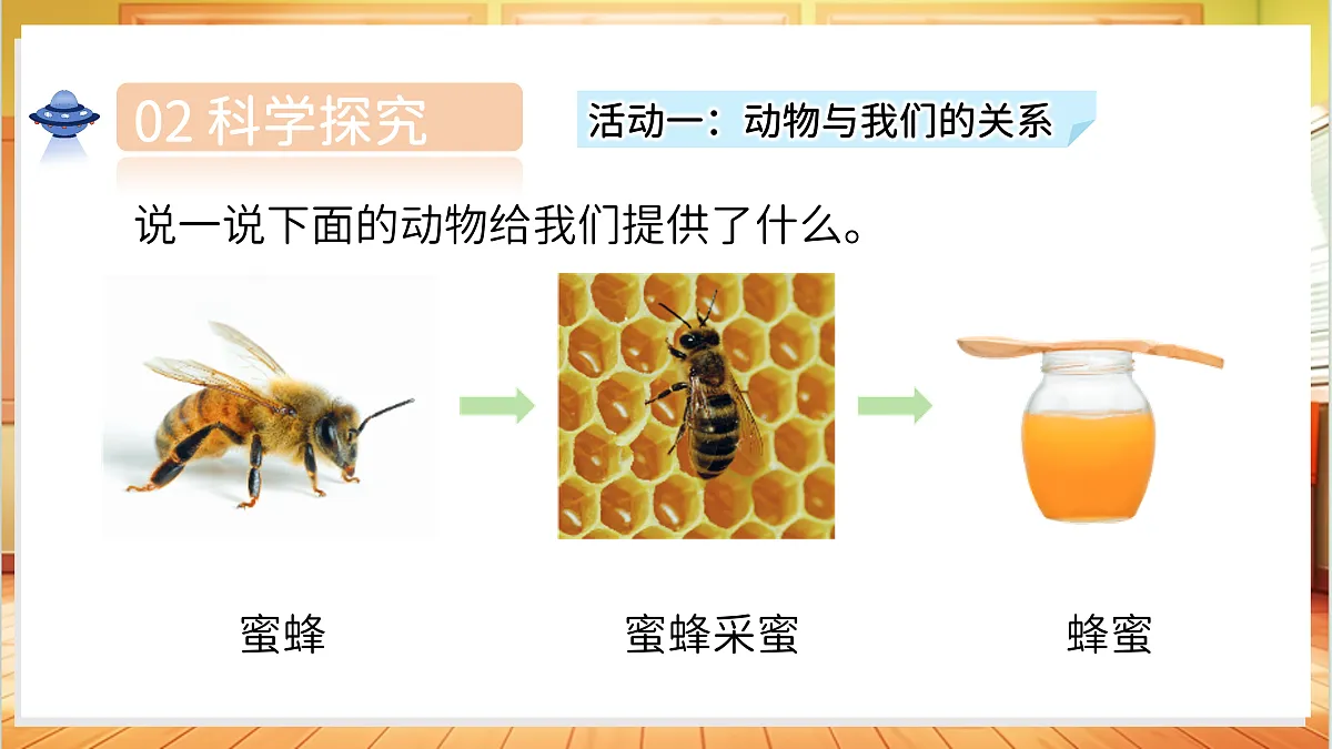 1.4 动物和我们(教学课件)科学湘科版二年级上册(新教材)第6页