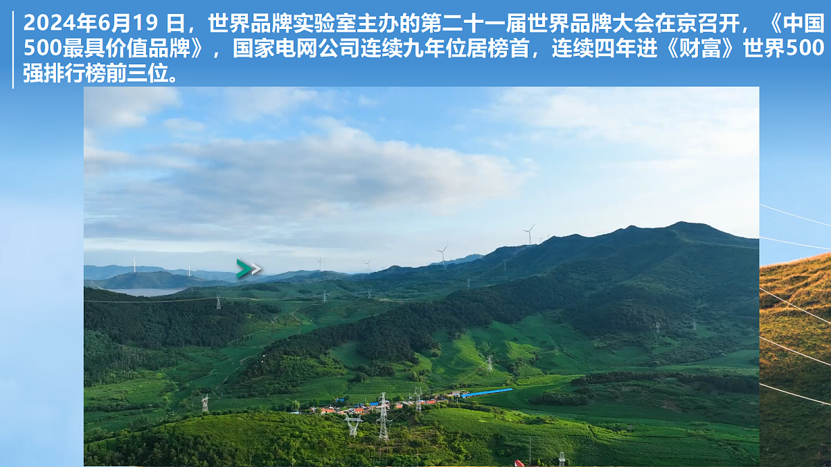 17496156第4页